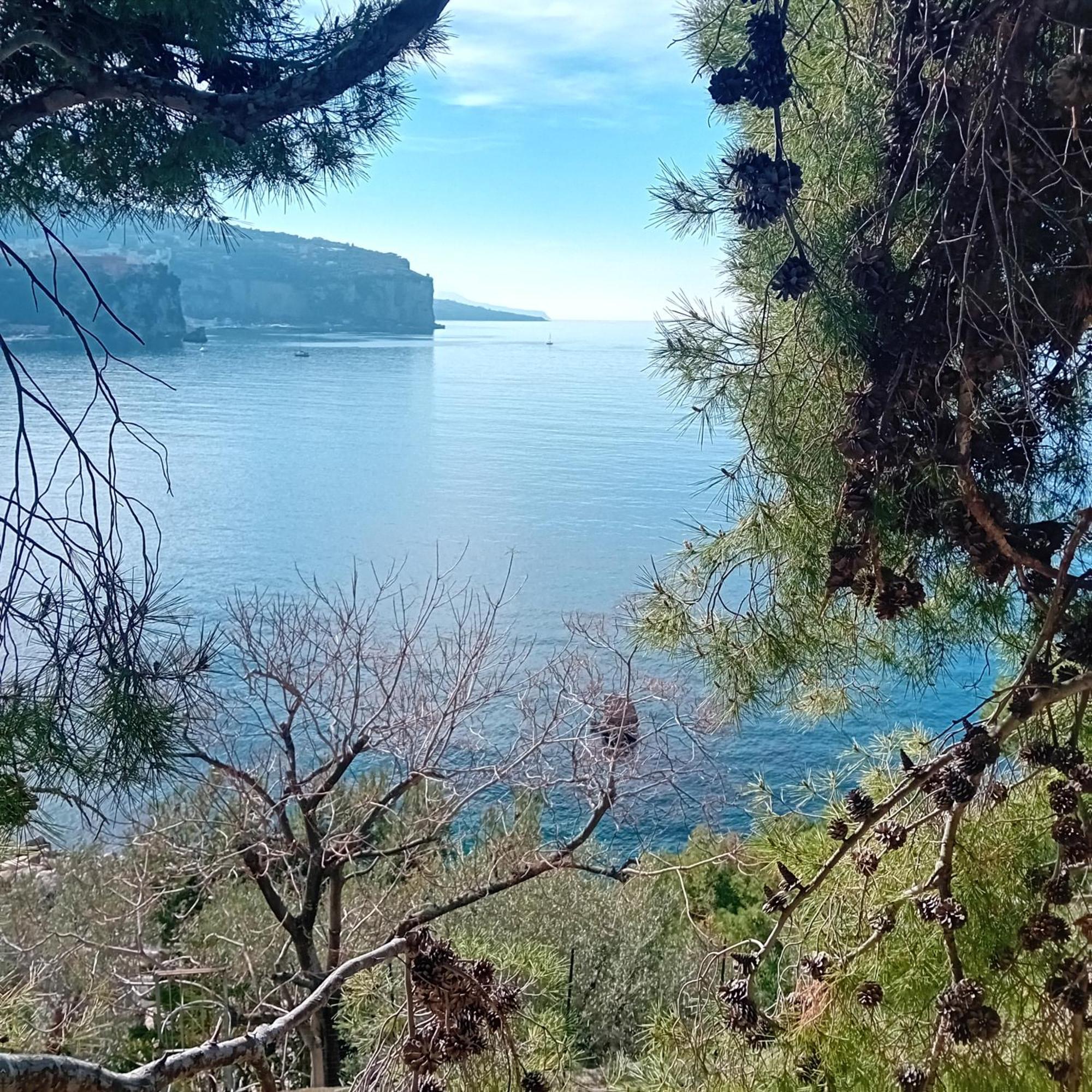 Villa La Galetta Vico Equense Buitenkant foto