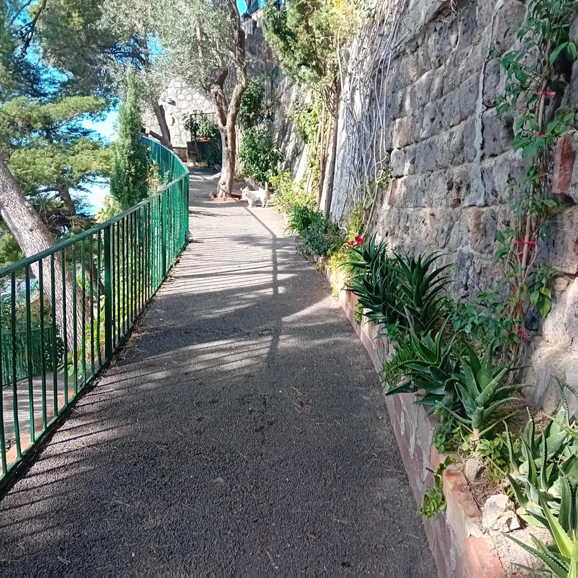 Villa La Galetta Vico Equense Buitenkant foto
